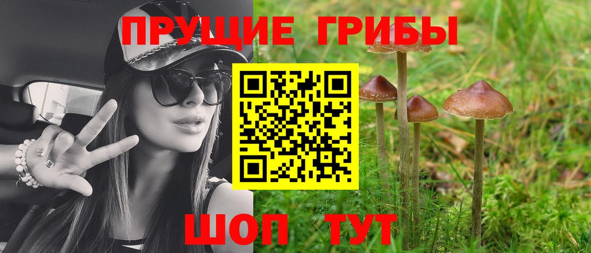 Галлюциногенные грибы Cubensis  Вход с VPN  Томск  Галлюциногенные грибы ЛСД 