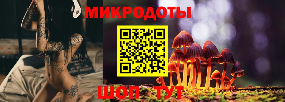 Псилоцибиновые грибы мицелий Томск